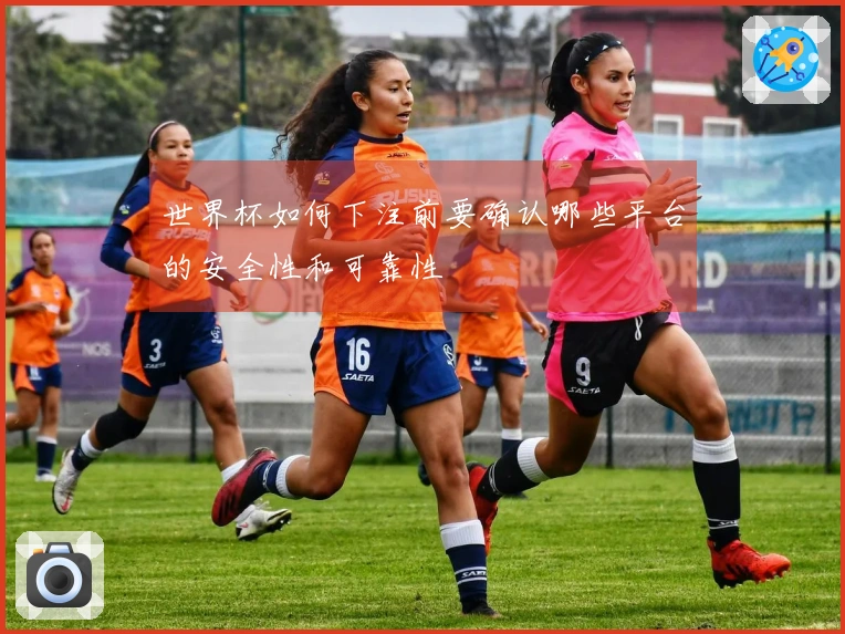 世界杯如何下注前要确认哪些平台的安全性和可靠性