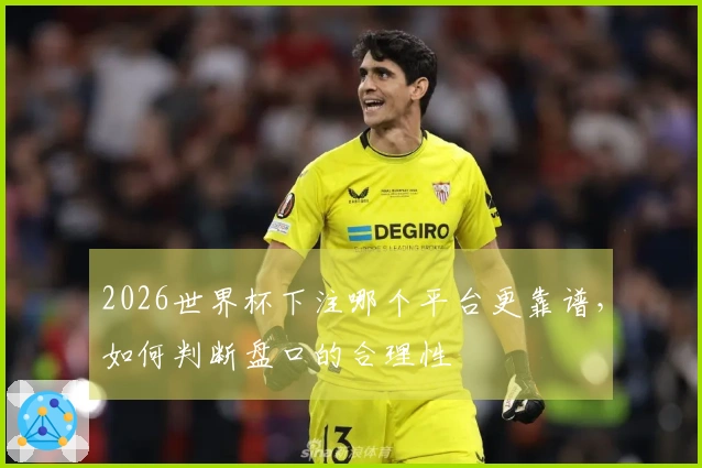 2026世界杯下注哪个平台更靠谱，如何判断盘口的合理性