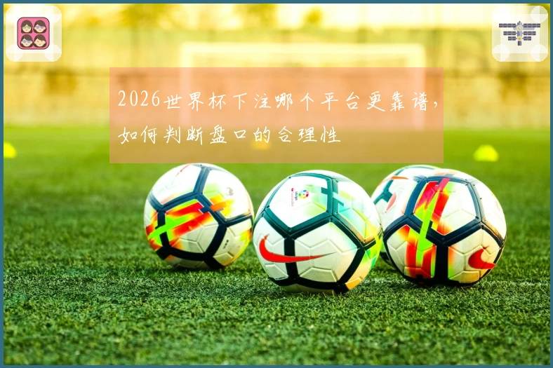 2026世界杯下注哪个平台更靠谱，如何判断盘口的合理性