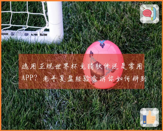 开云体育资讯封面图