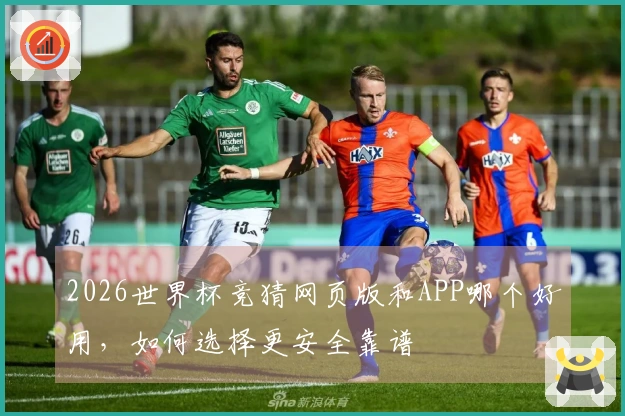 开云体育资讯封面图