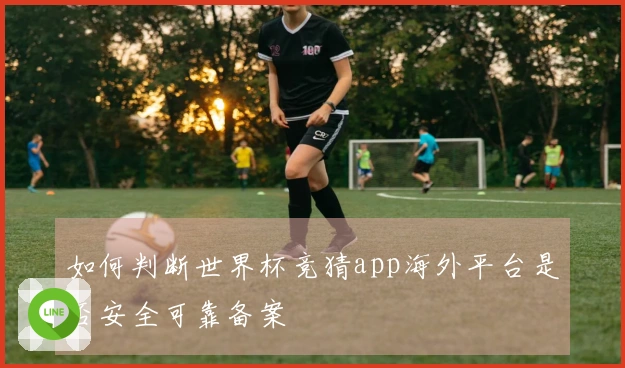 开云体育资讯封面图