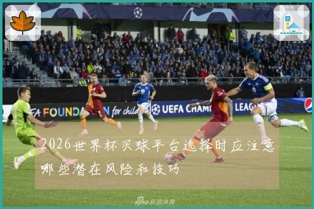 2026世界杯买球平台选择时应注意哪些潜在风险和技巧